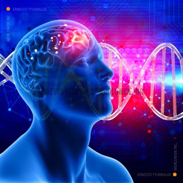 Educación Experiencial